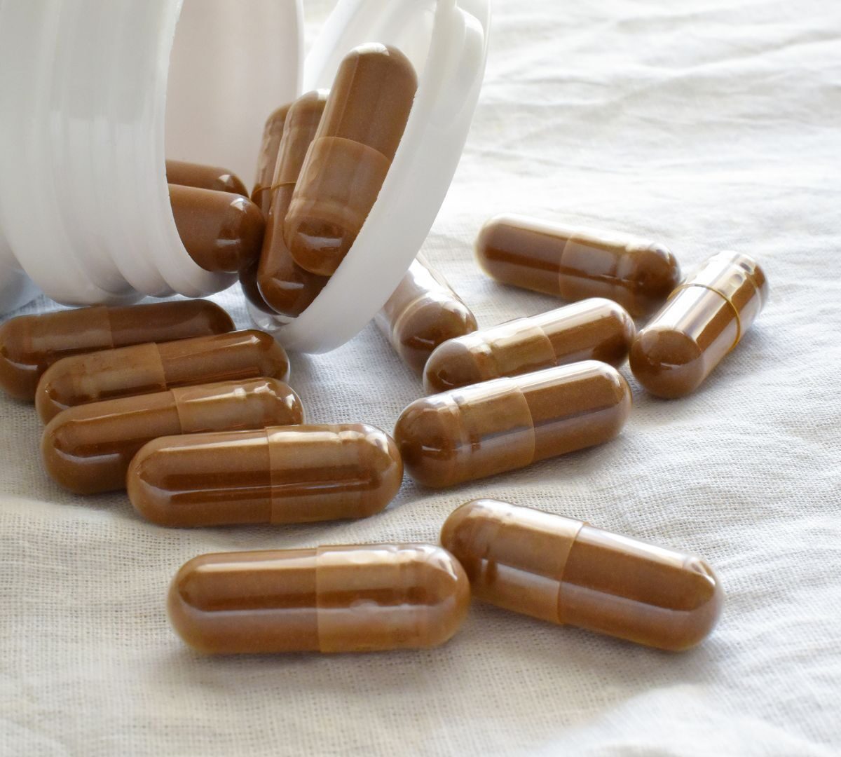 Discover The Power Top Mushroom Supplement Ranked